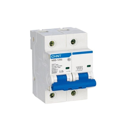 816129 | Авт. выкл. NXB-125 2P 63А 10кА х-ка C (R) Chint

